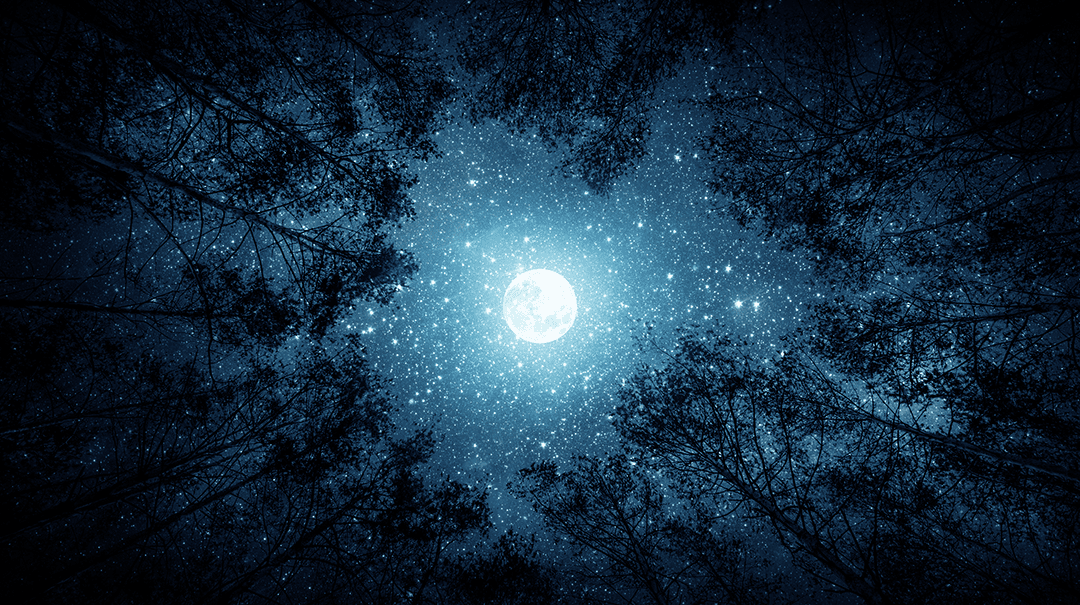 The Same Moon & Stars