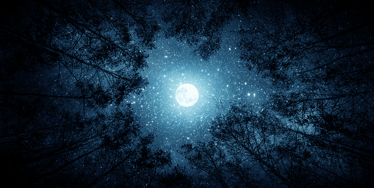 Jenn Gulbrand - The Same Moon & Stars